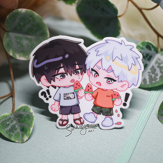 Vinyl Stickers
